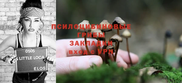 прущие грибы Алексин