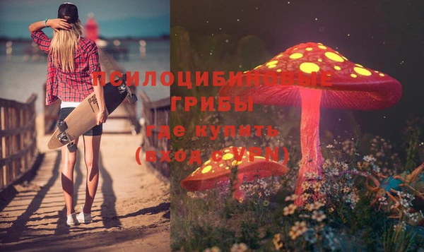прущие грибы Алексин