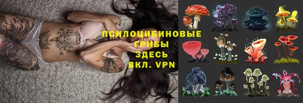 крисы Алексеевка